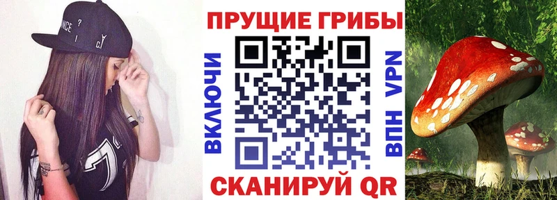 Галлюциногенные грибы Psilocybine cubensis  Купить  Аша 